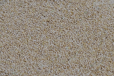 Yellow Millet